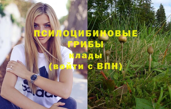 герыч Протвино