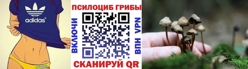 Псилоцибиновые грибы MAGIC MUSHROOMS  Спас-Клепики 
